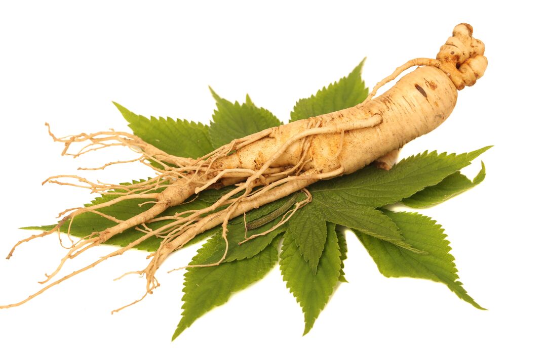 ginseng - element sastava Alfazone